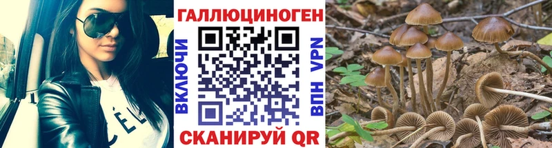 Галлюциногенные грибы ЛСД  продажа наркотиков  площадка Telegram  Никольск 
